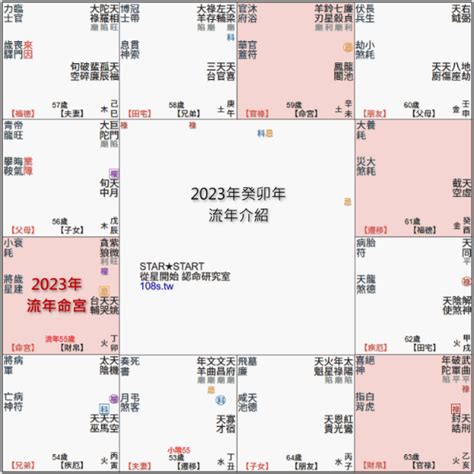 2023流年祿存|2023紫微斗數流年運勢：命盤紫微坐未、申、酉、戌運程預測